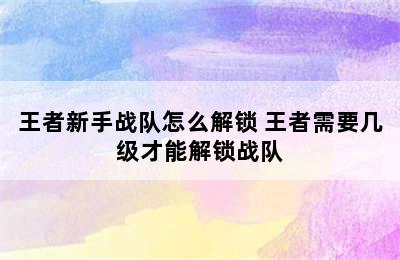 王者新手战队怎么解锁 王者需要几级才能解锁战队